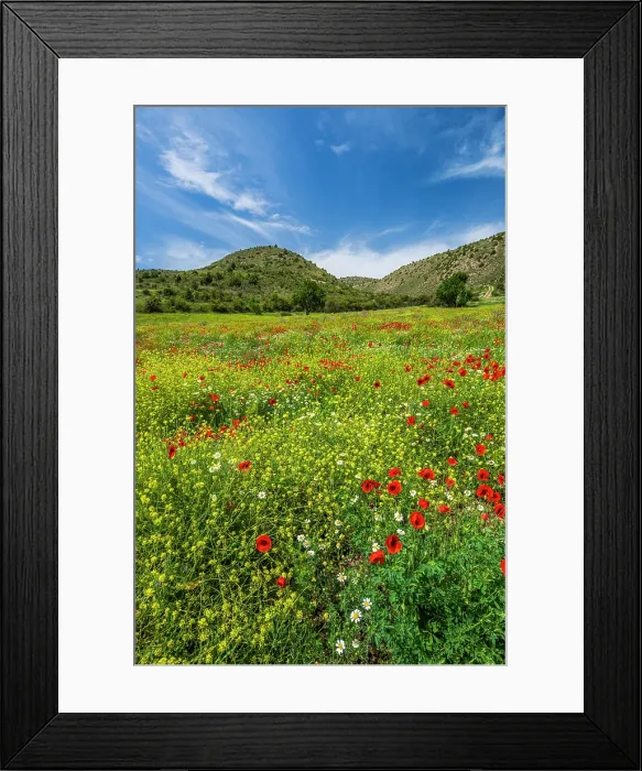 Framed Print : Scenic blooming spring landscape, Albarracin, Aragon, Spain Framed Print : Scenic blooming spring landscape, Albarracin, Aragon, Spain