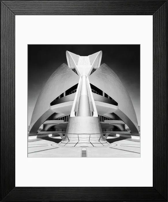 Framed Print : The Palau de les Arts Reina Sofia (Opera House), Ciudad de los artes y ciencias (City of Arts and Sciences), Valencia, Spain Framed Print : The Palau de les Arts Reina Sofia (Opera House), Ciudad de los artes y ciencias (City of Arts and Sciences), Valencia, Spain