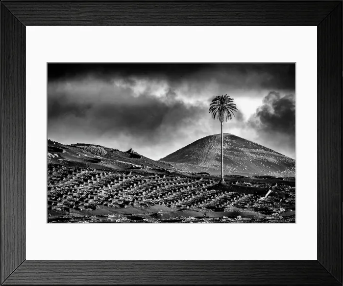 Framed Print : Stone walls protecting vines, La Geria, Lanzarote, Canary Islands, Spain Framed Print : Stone walls protecting vines, La Geria, Lanzarote, Canary Islands, Spain