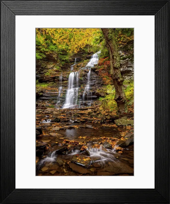 Framed Print : Gonaga Falls in Autumn, Ricketts Glen State Park, Benton, Pennsylvania, USA