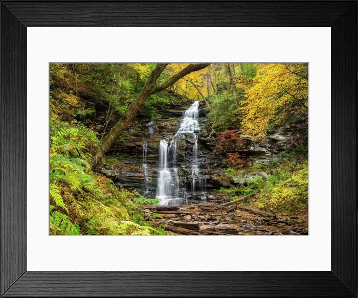 Framed Print : Gonaga Falls in Autumn, Ricketts Glen State Park, Benton, Pennsylvania, USA Framed Print : Gonaga Falls in Autumn, Ricketts Glen State Park, Benton, Pennsylvania, USA