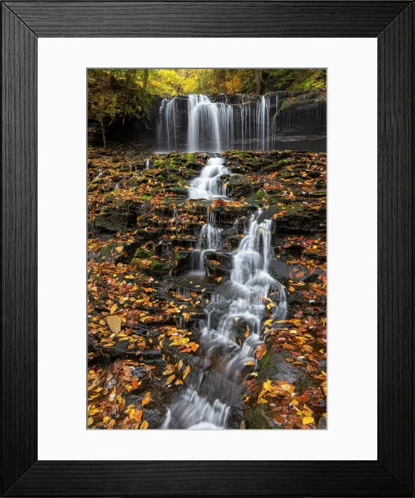 Framed Print : Mohawk Falls in Autumn, Ricketts Glen State Park, Benton, Pennsylvania, USA Framed Print : Mohawk Falls in Autumn, Ricketts Glen State Park, Benton, Pennsylvania, USA