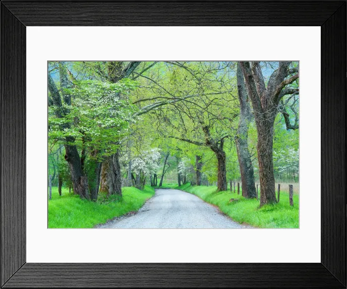 Framed Print : Dawn at Cade's Cove in Great Smoky Mountains, Tennessee, USA Framed Print : Dawn at Cade's Cove in Great Smoky Mountains, Tennessee, USA