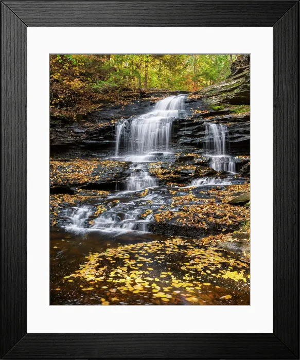 Framed Print : Onondaga Falls in Autumn, Ricketts Glen State Park, Benton, Pennsylvania, USA