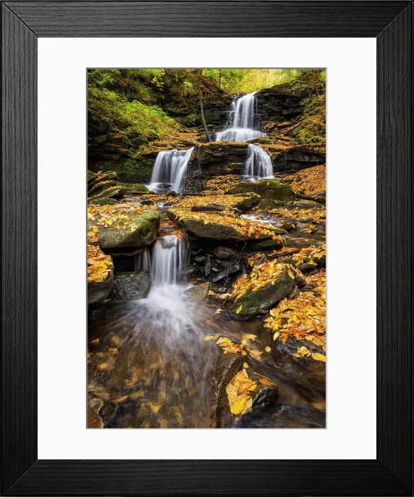 Framed Print : Tuscarora Falls in Autumn, Ricketts Glen State Park, Benton, Pennsylvania, USA Framed Print : Tuscarora Falls in Autumn, Ricketts Glen State Park, Benton, Pennsylvania, USA