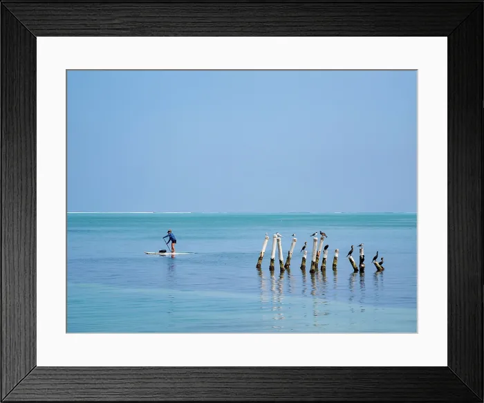 Framed Print : Stand up paddle at Caye Caulker, Belize District, Belize