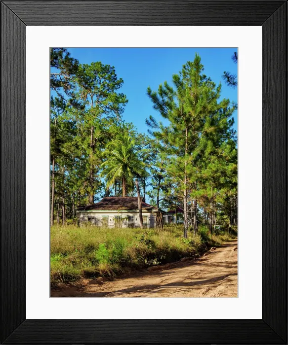 Framed Print : Douglas Da Silva Village, Mountain Pine Ridge Forest Reserve, Cayo District, Belize Framed Print : Douglas Da Silva Village, Mountain Pine Ridge Forest Reserve, Cayo District, Belize