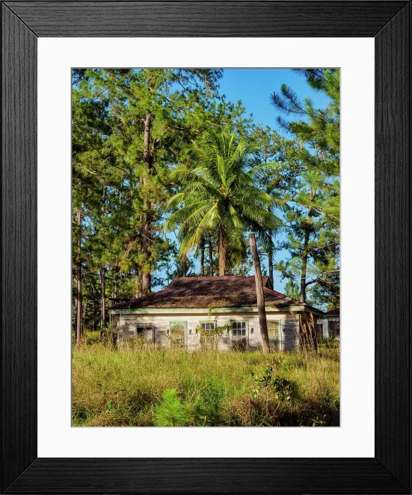 Framed Print : Douglas Da Silva Village, Mountain Pine Ridge Forest Reserve, Cayo District, Belize