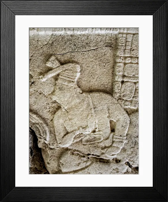 Framed Print : Stela at Caracol Archaeological Site, Cayo District, Belize