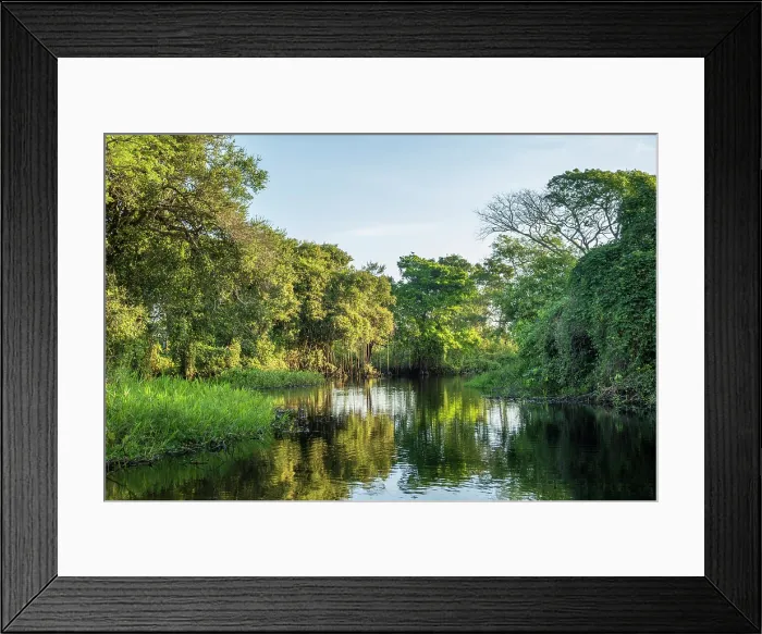 Framed Print : South America, Brazil, Mato Grosso, Pantanal Framed Print : South America, Brazil, Mato Grosso, Pantanal