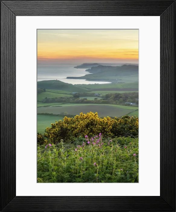 Framed Print : Kimmeridge Bay and Gad Cliff from Swyre Head, Jurassic Coast World Heritage Site, Isle of Purbeck, Dorset, England, UK, April 2025