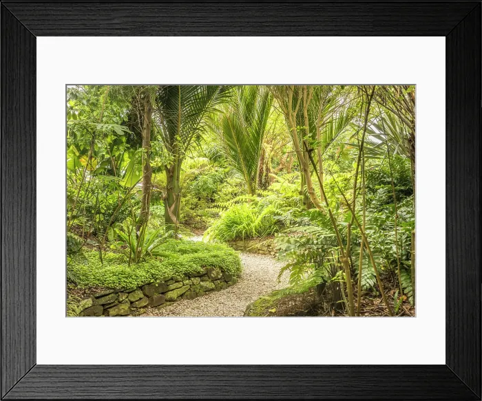 Framed Print : Jardin Exotique, Roscoff, Finistere, Brittany, France