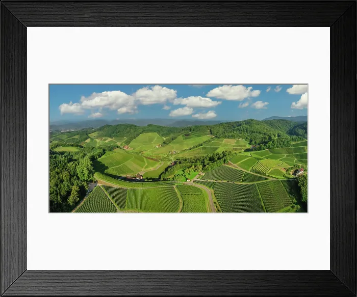 Framed Print : Vineyards near Durbach, Black Forest, Baden-Wurttemberg, Germany Framed Print : Vineyards near Durbach, Black Forest, Baden-Wurttemberg, Germany