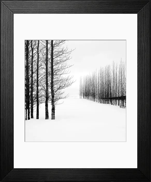 Framed Print : Trees in a snowy winter landscape, Haukadalur, Valley, Iceland Framed Print : Trees in a snowy winter landscape, Haukadalur, Valley, Iceland