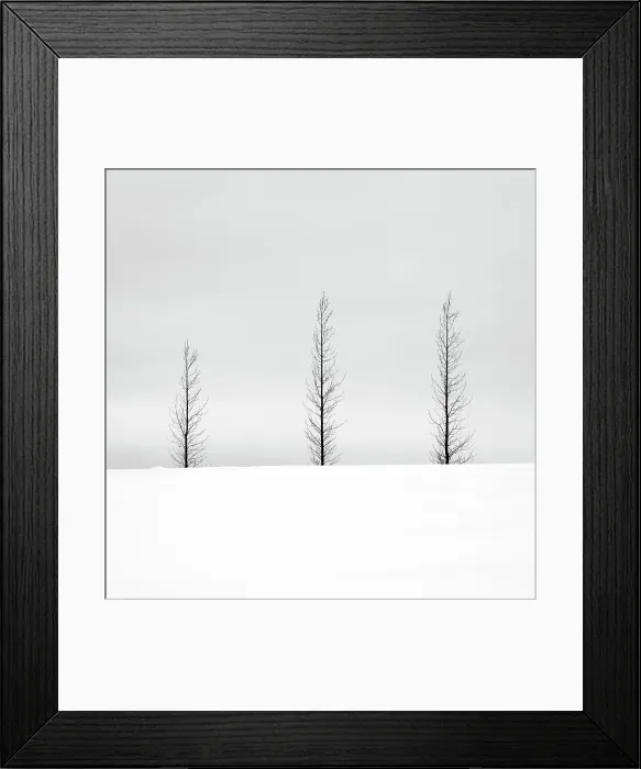 Framed Print : Trees in a snowy winter landscape, Haukadalur, Valley, Iceland