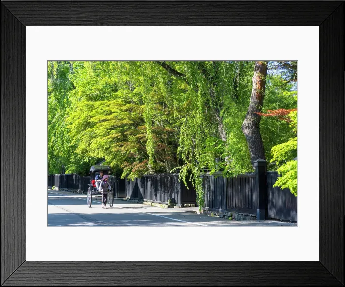 Framed Print : Tourist in rickshaw on Samurai Residence Street, Kakunodate, Akita, Japan Framed Print : Tourist in rickshaw on Samurai Residence Street, Kakunodate, Akita, Japan