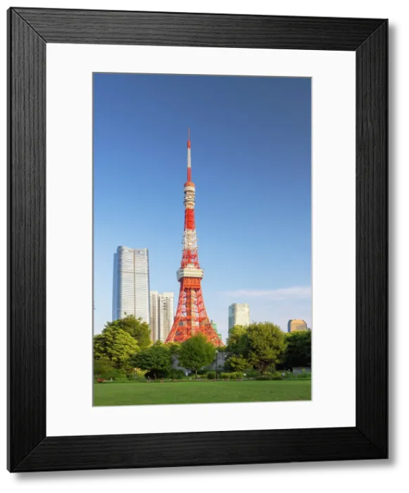 Framed Print : Tokyo Tower from Shiba Park, Tokyo, Japan Framed Print : Tokyo Tower from Shiba Park, Tokyo, Japan