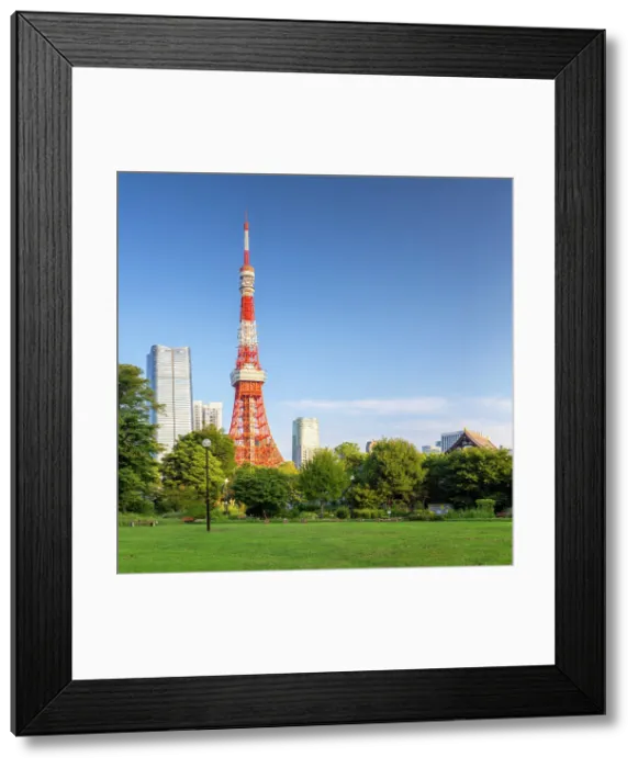 Framed Print : Tokyo Tower from Shiba Park, Tokyo, Japan Framed Print : Tokyo Tower from Shiba Park, Tokyo, Japan