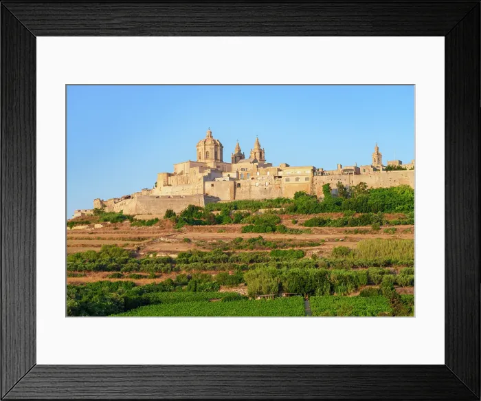 Framed Print : Metropolitan Cathedral of Saint Paul, Mdina, (old capital of Malta), Malta Framed Print : Metropolitan Cathedral of Saint Paul, Mdina, (old capital of Malta), Malta