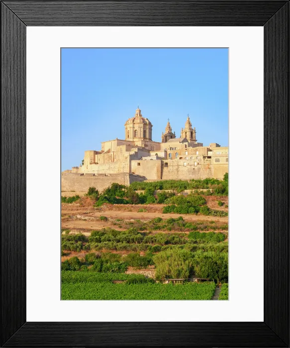 Framed Print : Metropolitan Cathedral of Saint Paul, Mdina, (old capital of Malta), Malta Framed Print : Metropolitan Cathedral of Saint Paul, Mdina, (old capital of Malta), Malta