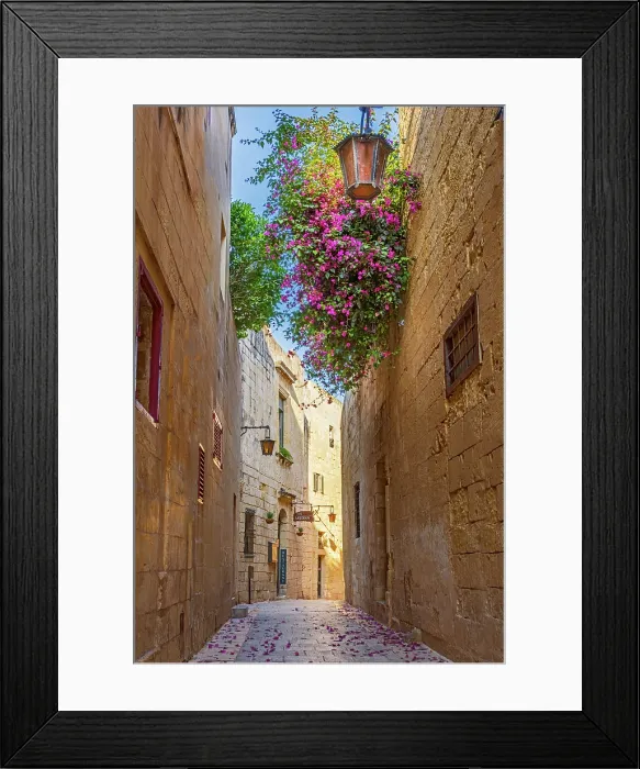 Framed Print : Mdina (old capital of Malta), Malta Framed Print : Mdina (old capital of Malta), Malta