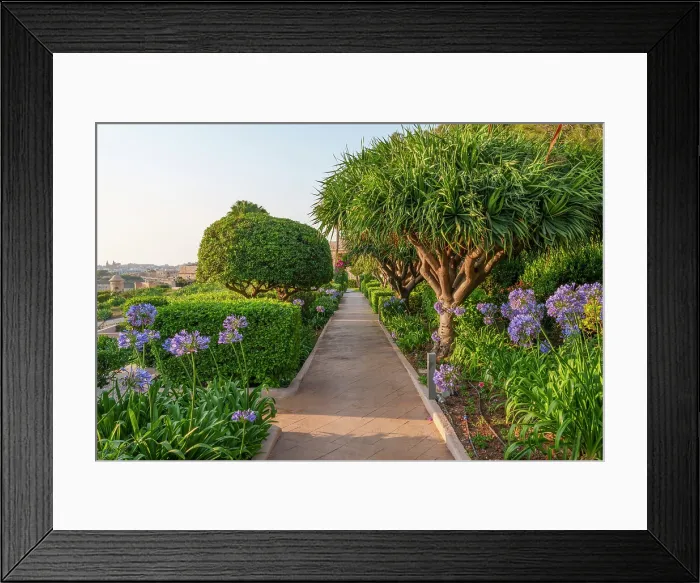 Framed Print : Hotel Phoenicia, Garden, Valletta, Malta