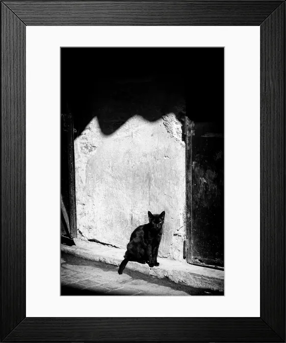 Framed Print : Black cat sat against a sunlit wall, Marrakech, Morocco Framed Print : Black cat sat against a sunlit wall, Marrakech, Morocco