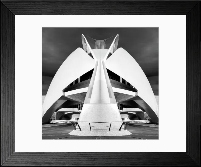 Framed Print : The Palau de les Arts Reina Sofia (Opera House), Ciudad de los artes y ciencias (City of Arts and Sciences), Valencia, Spain Framed Print : The Palau de les Arts Reina Sofia (Opera House), Ciudad de los artes y ciencias (City of Arts and Sciences), Valencia, Spain