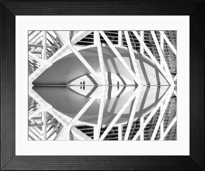 Framed Print : Detail of the Science Museum, Ciudad de los artes y ciencias (City of Arts and Sciences), Valencia, Spain Framed Print : Detail of the Science Museum, Ciudad de los artes y ciencias (City of Arts and Sciences), Valencia, Spain
