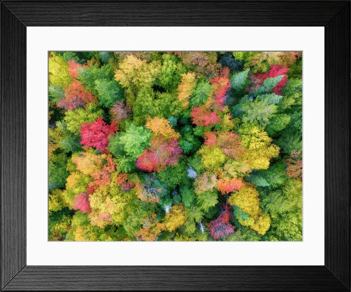 Framed Print : Aerial view of trees in autumn, Dixville Notch, New Hampshire, USA Framed Print : Aerial view of trees in autumn, Dixville Notch, New Hampshire, USA