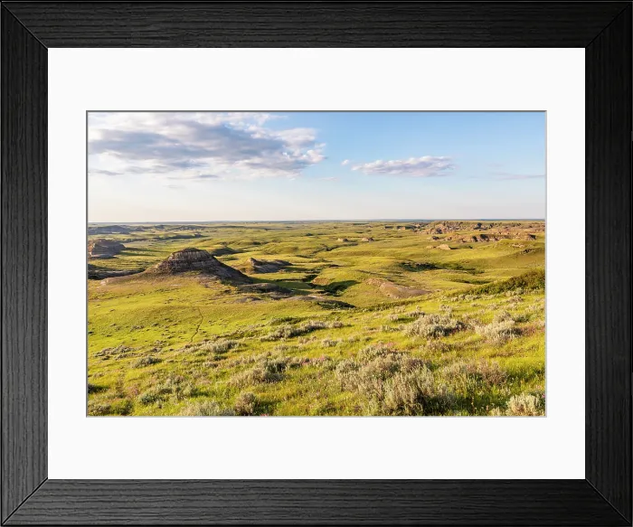 Framed Print : Grasslands National Park East Block, Saskatchewan, Canada, North America Framed Print : Grasslands National Park East Block, Saskatchewan, Canada, North America