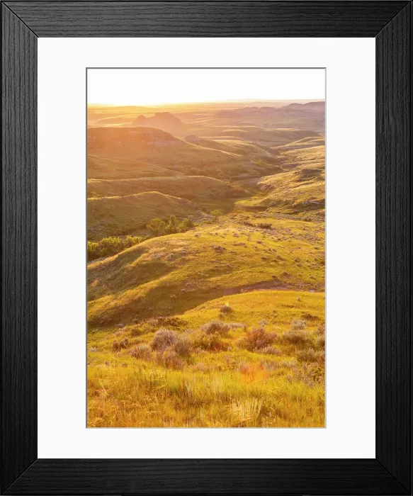 Framed Print : Grasslands National Park East Block, Saskatchewan, Canada, North America Framed Print : Grasslands National Park East Block, Saskatchewan, Canada, North America