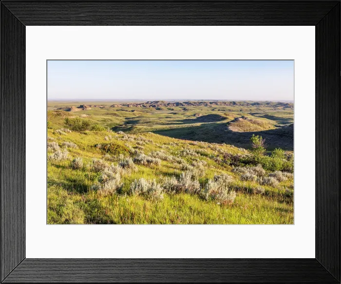 Framed Print : Grasslands National Park East Block, Saskatchewan, Canada, North America Framed Print : Grasslands National Park East Block, Saskatchewan, Canada, North America