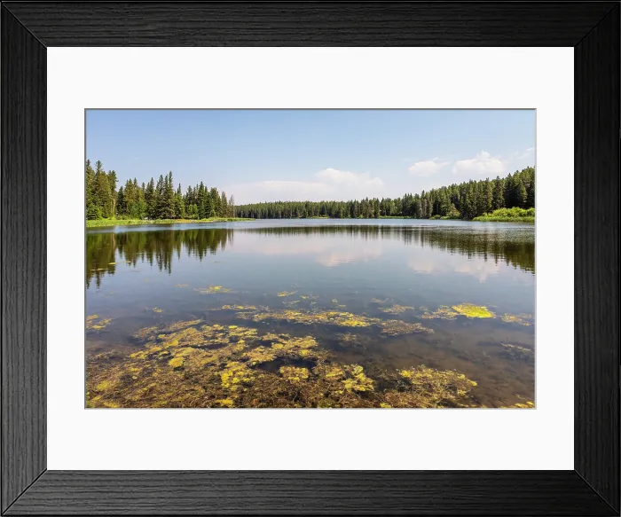 Framed Print : Cypress Hills Interprovincial Park, Saskatchewan, Canada, North America Framed Print : Cypress Hills Interprovincial Park, Saskatchewan, Canada, North America