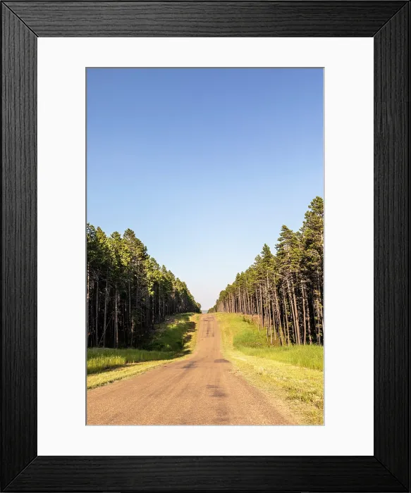 Framed Print : Cypress Hills Interprovincial Park, Saskatchewan, Canada, North America Framed Print : Cypress Hills Interprovincial Park, Saskatchewan, Canada, North America