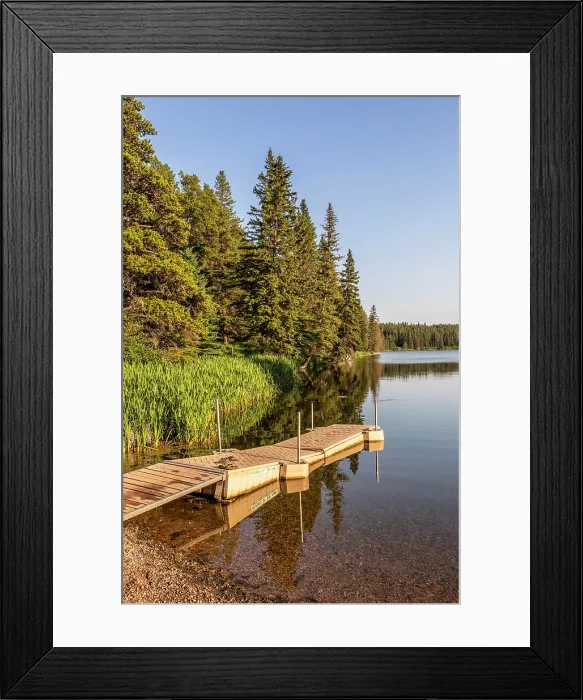 Framed Print : Cypress Hills Interprovincial Park, Saskatchewan, Canada, North America Framed Print : Cypress Hills Interprovincial Park, Saskatchewan, Canada, North America