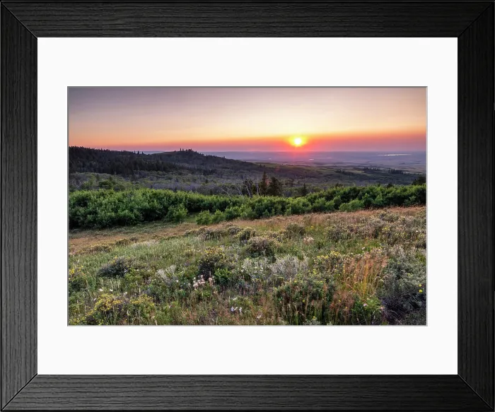 Framed Print : Cypress Hills Interprovincial Park, Saskatchewan, Canada, North America
