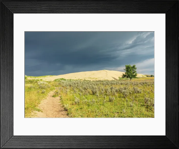 Framed Print : Great Sand Hills, Saskatchewan, Canada, North America