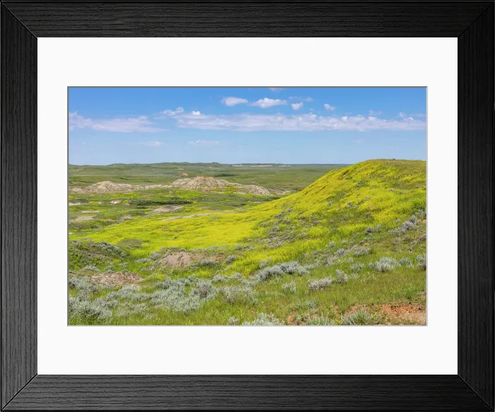 Framed Print : Grasslands National Park East Block, Saskatchewan, Canada, North America Framed Print : Grasslands National Park East Block, Saskatchewan, Canada, North America
