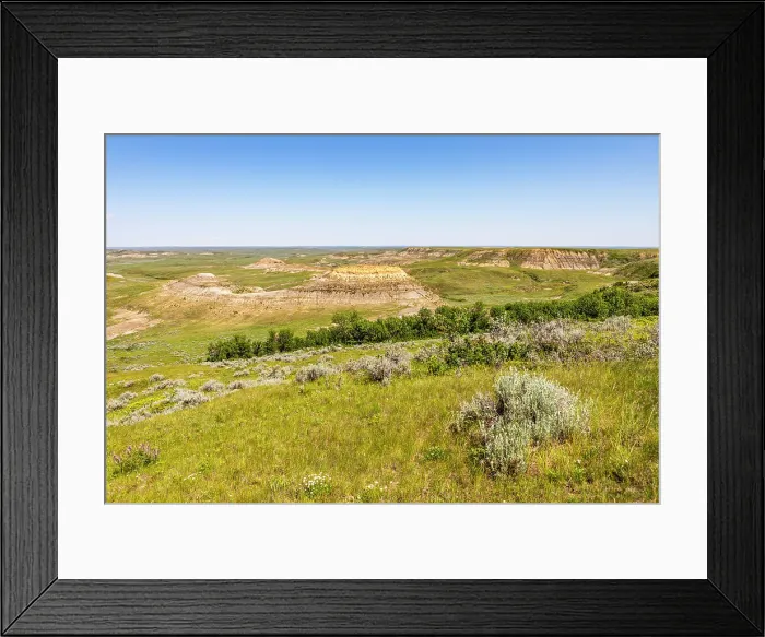 Framed Print : Grasslands National Park East Block, Saskatchewan, Canada, North America Framed Print : Grasslands National Park East Block, Saskatchewan, Canada, North America