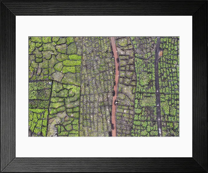 Framed Print : Vineyards at Pico Island, Azores, Portugal Framed Print : Vineyards at Pico Island, Azores, Portugal
