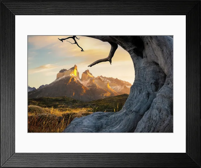 Framed Print : Cuernos del Paine framed in dead trees, Torres del Paine NP, Ultima Esperanza, Region de Magallanes y de la Antartica Chilena, Patagonia, Chile Framed Print : Cuernos del Paine framed in dead trees, Torres del Paine NP, Ultima Esperanza, Region de Magallanes y de la Antartica Chilena, Patagonia, Chile