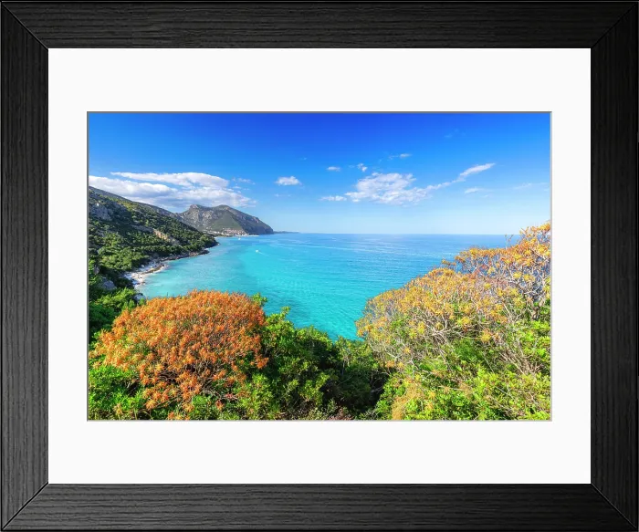 Framed Print : Mediterranean vegetation with view on coast of Cala Gonone, Dorgali, Nuoro province, Sardinia, Italy Framed Print : Mediterranean vegetation with view on coast of Cala Gonone, Dorgali, Nuoro province, Sardinia, Italy
