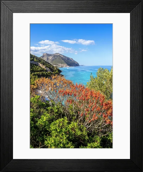 Framed Print : Mediterranean vegetation with view on coast of Cala Gonone, Dorgali, Nuoro province, Sardinia, Italy Framed Print : Mediterranean vegetation with view on coast of Cala Gonone, Dorgali, Nuoro province, Sardinia, Italy