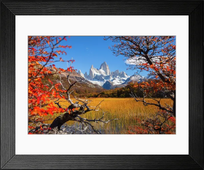 Framed Print : Fitz Roy mountain framed by autumn trees, El Chalten, Parque Nacional Los Glaciares, Santa Cruz, Patagonia, Argentina Framed Print : Fitz Roy mountain framed by autumn trees, El Chalten, Parque Nacional Los Glaciares, Santa Cruz, Patagonia, Argentina