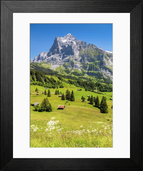 Framed Print : Wetterhorn from above Grindelwald, Canton of Bern, Switzerland Framed Print : Wetterhorn from above Grindelwald, Canton of Bern, Switzerland