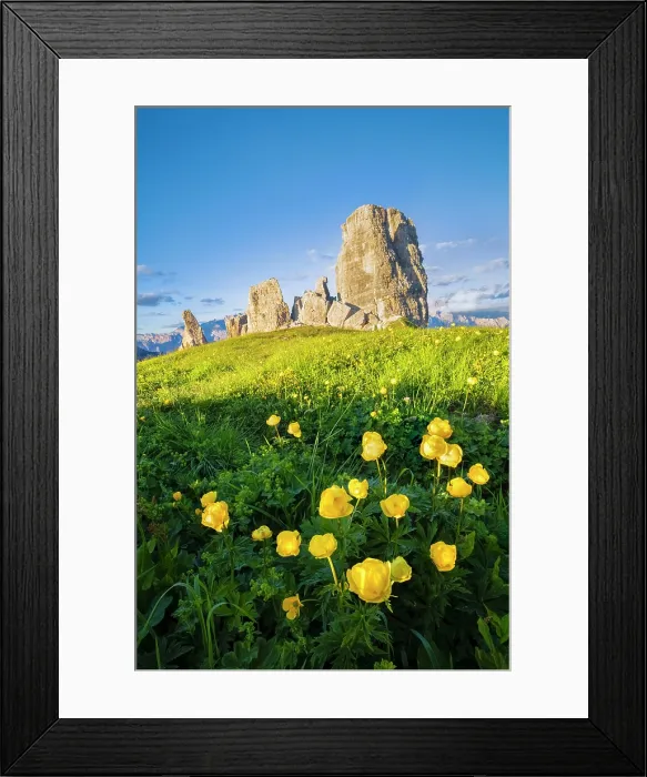 Framed Print : blooming flowers at the Cinque Torri peak in summer at sunset. Cortina d'Ampezzo, Belluno Province, Veneto District, Italy Framed Print : blooming flowers at the Cinque Torri peak in summer at sunset. Cortina d'Ampezzo, Belluno Province, Veneto District, Italy