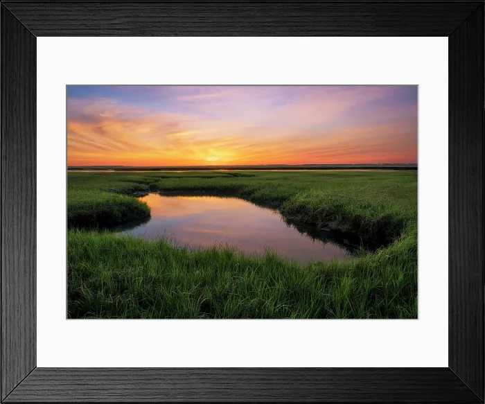 Framed Print : Sunrise from marsh at Fort Hill, Cape Cod, Eastham, Massachusetts, USA Framed Print : Sunrise from marsh at Fort Hill, Cape Cod, Eastham, Massachusetts, USA