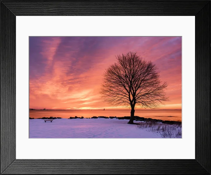 Framed Print : Winter sunrise with tree profile, Great Island Common, New Castle, New Hampshire, USA Framed Print : Winter sunrise with tree profile, Great Island Common, New Castle, New Hampshire, USA