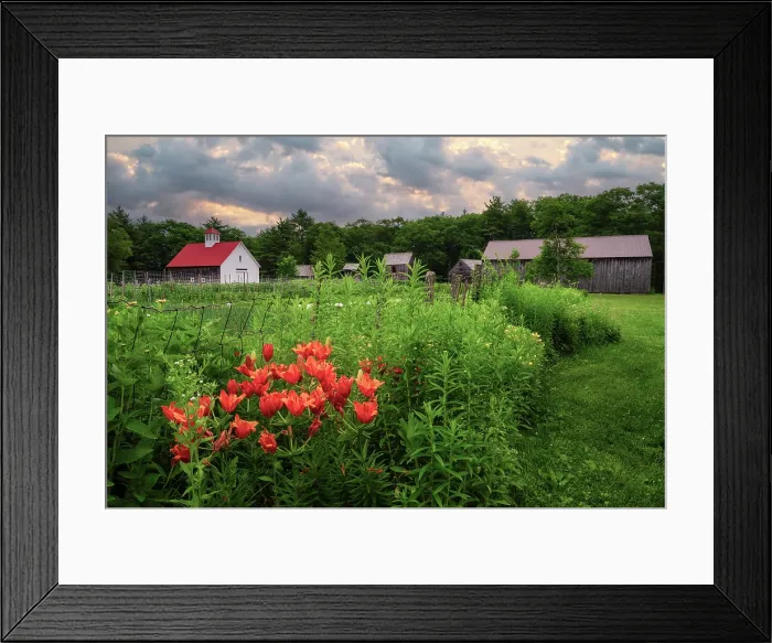 Framed Print : Flower garden at a farm in North Sutton, New Hampshire, USA Framed Print : Flower garden at a farm in North Sutton, New Hampshire, USA